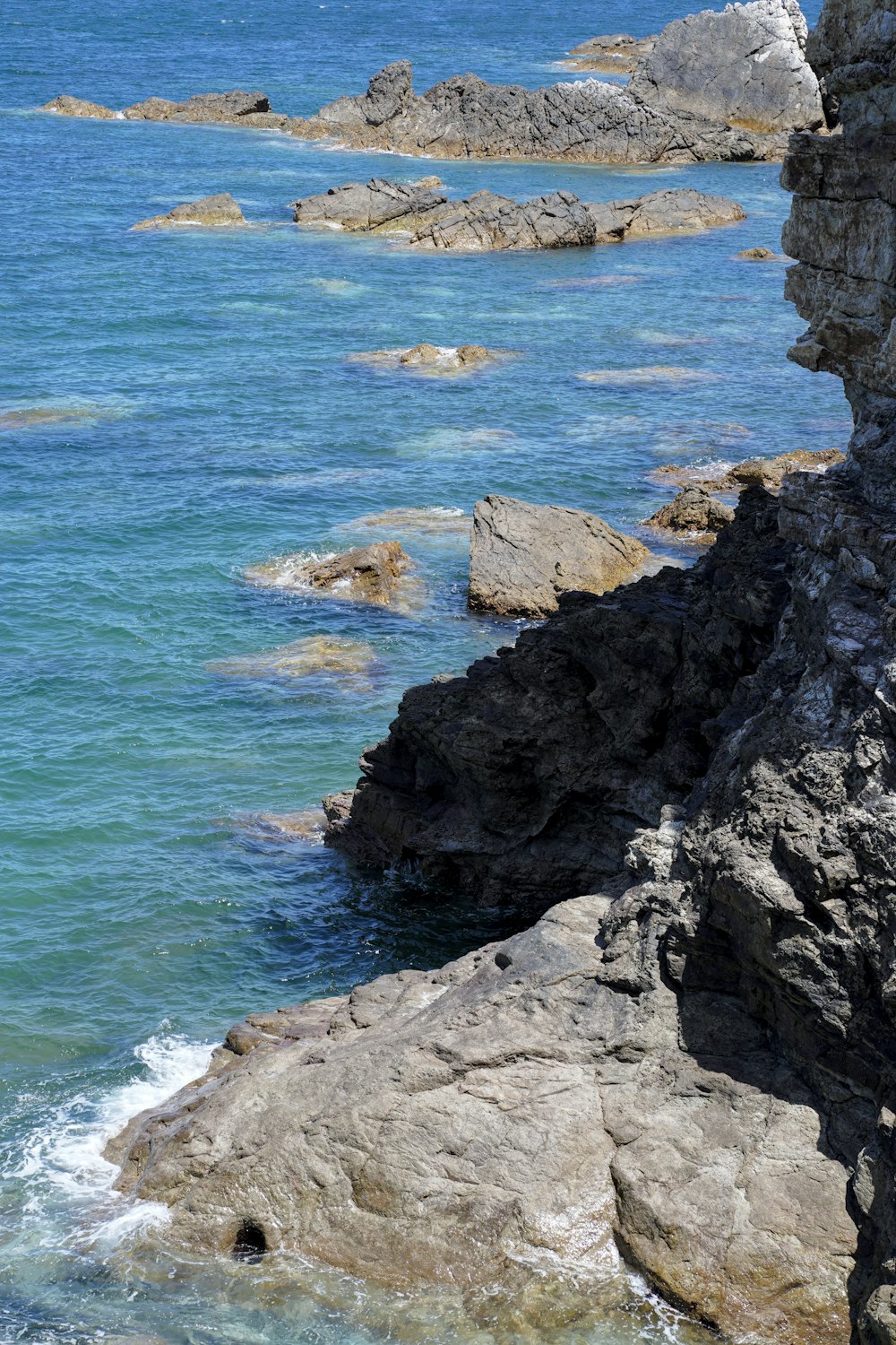 a bird sitting on a rock next to the ocean