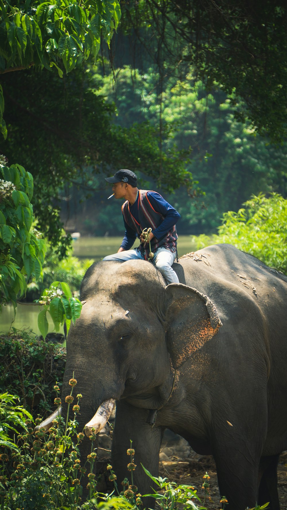 a man riding on the back of an elephant