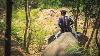 a man riding on the back of an elephant through a forest