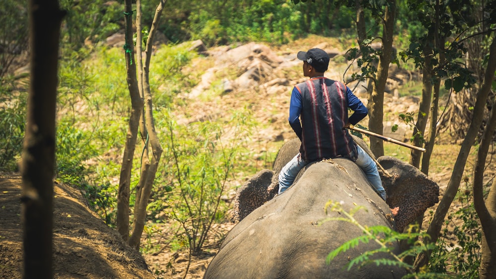 a man riding on the back of an elephant through a forest