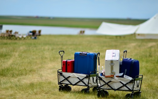 Two carts filled with various luggage, including red, blue, and white suitcases, are positioned on a grassy field. In the background, a body of water and some tents can be seen, suggesting a camping or outdoor event.