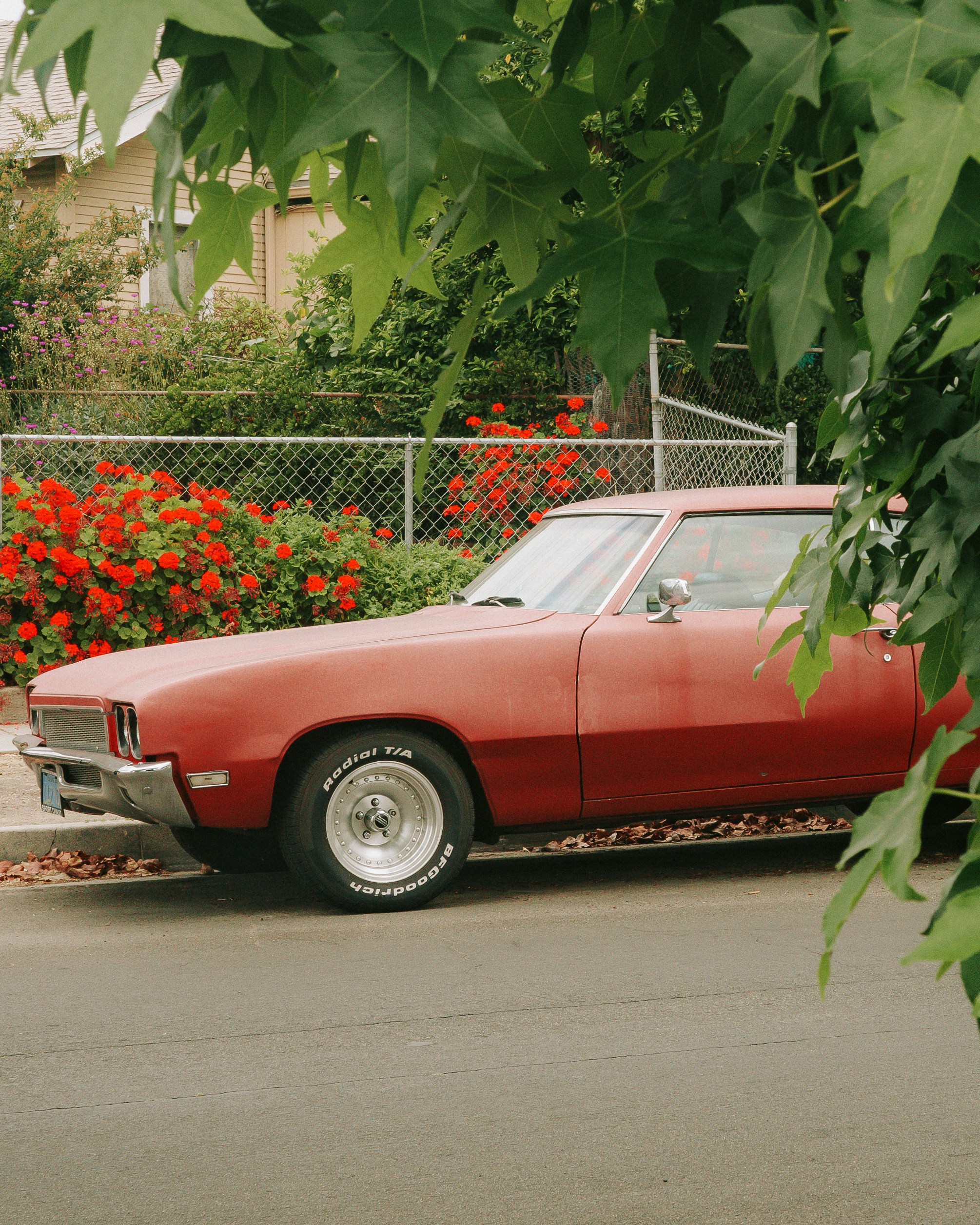 Photo by gabrielbaer