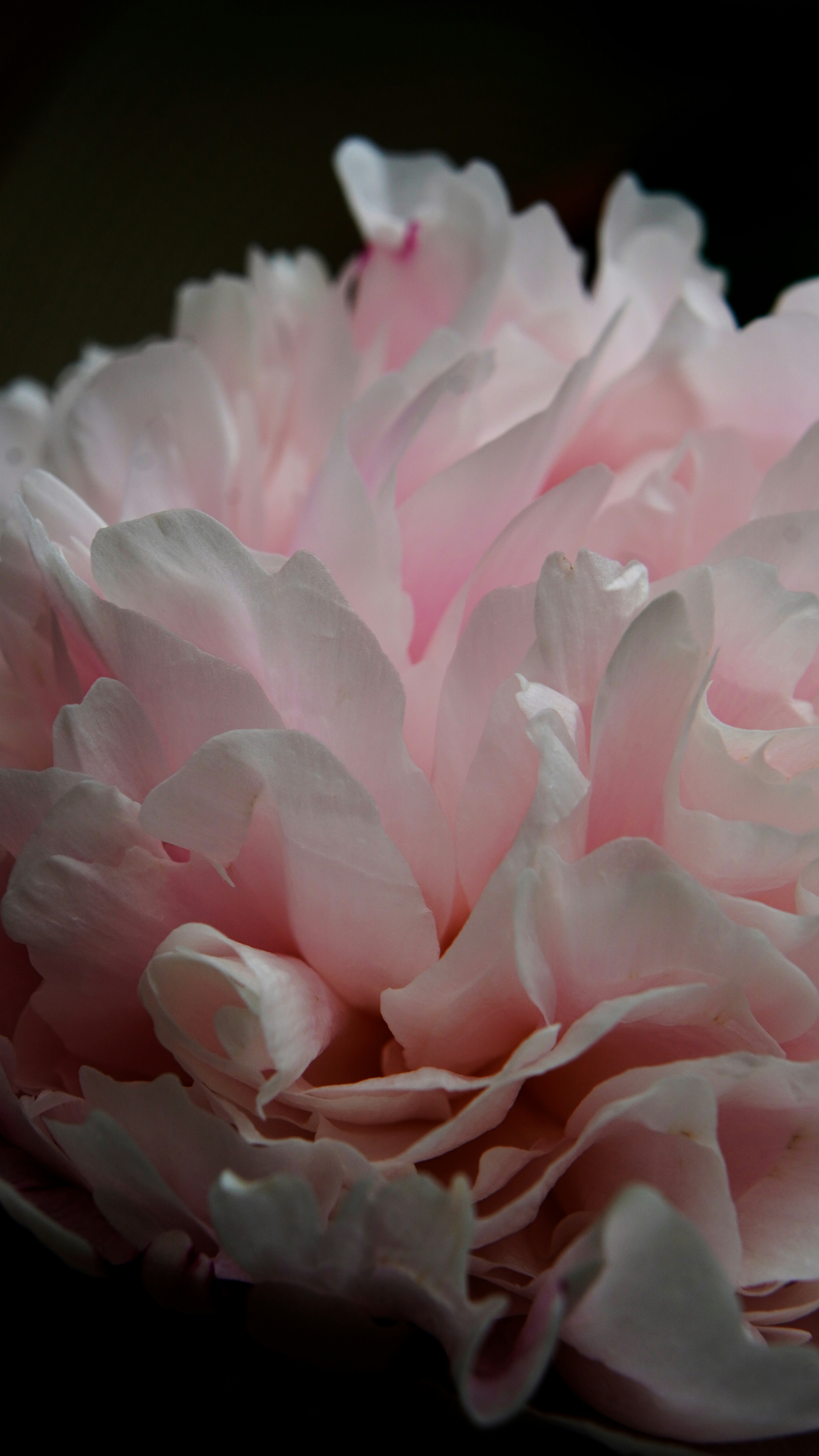 Photo by nataliagasiorowska