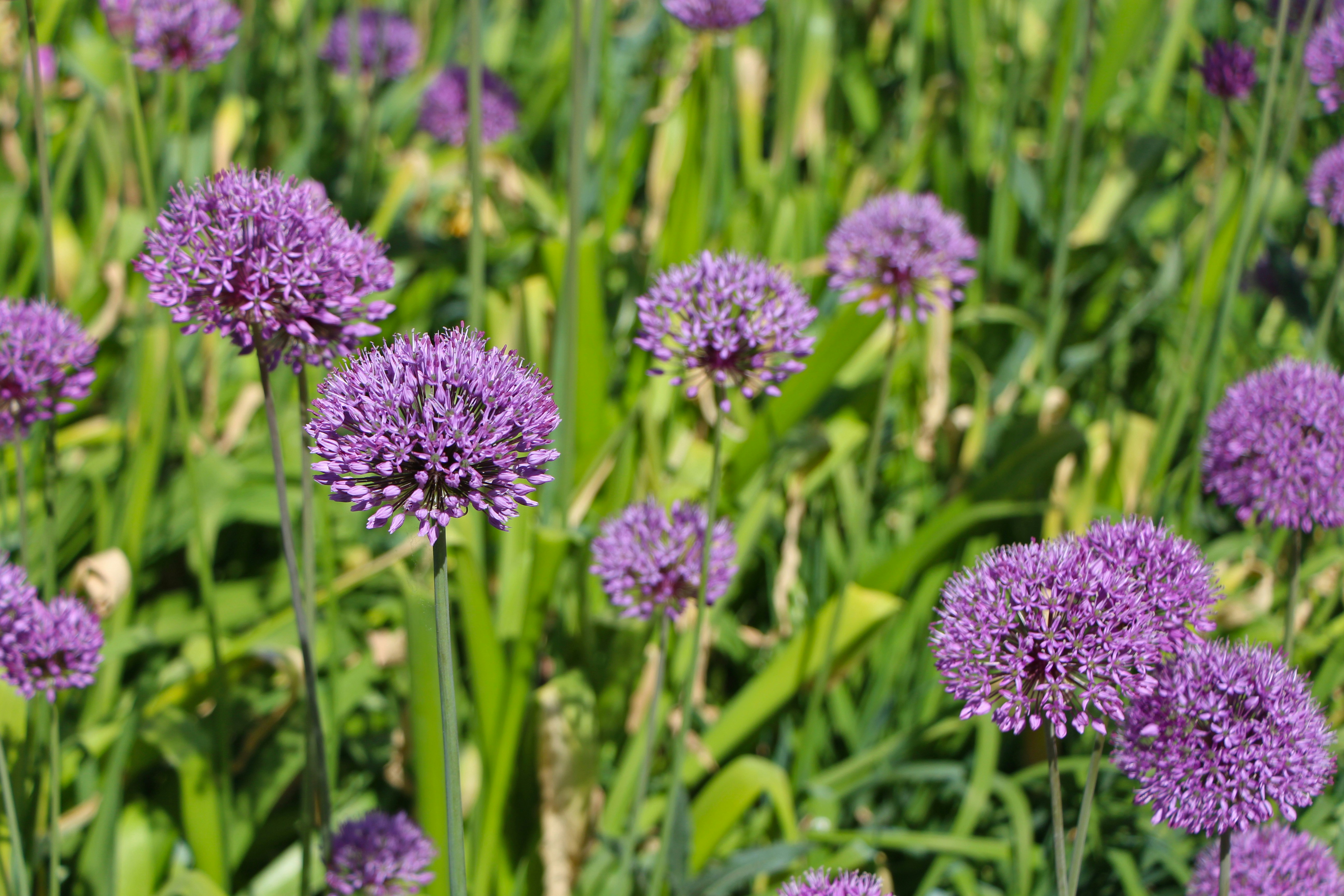 Photo by eleniafiontzi