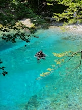 Underwater diver exploring a crystal-clear Yucatán cenote with vibrant green foliage above.
