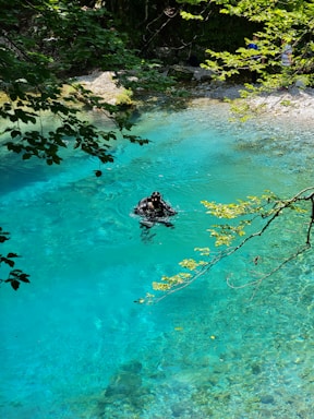 Underwater diver exploring a crystal-clear Yucatán cenote with vibrant green foliage above.