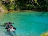 Group of divers cleaning debris from the bottom of a cenote, showcasing care for the environment.