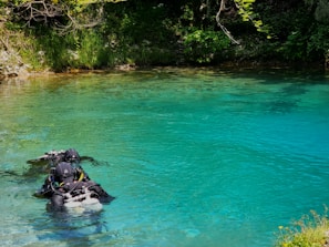 Group of divers cleaning debris from the bottom of a cenote, showcasing care for the environment.