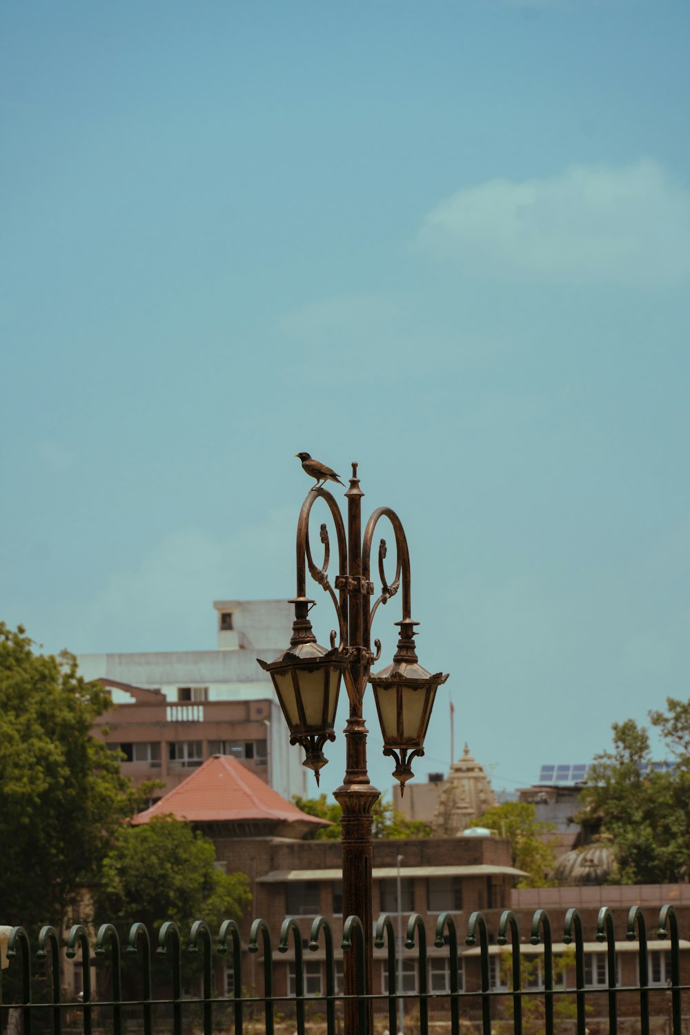 a bird is sitting on top of a lamp post