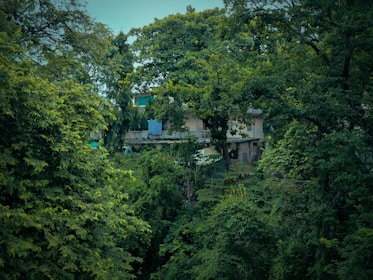 A hidden-gem Airbnb nestled in a quiet neighborhood with lush greenery outside.