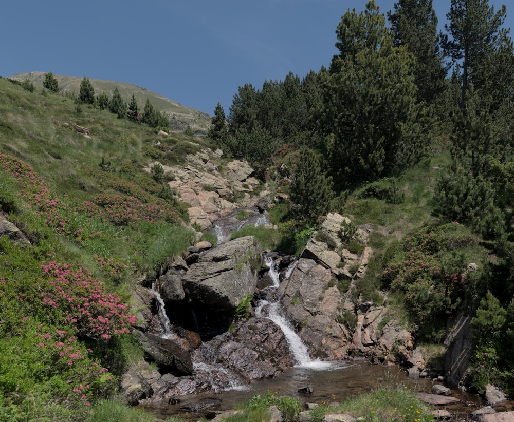 a stream running through a lush green hillside