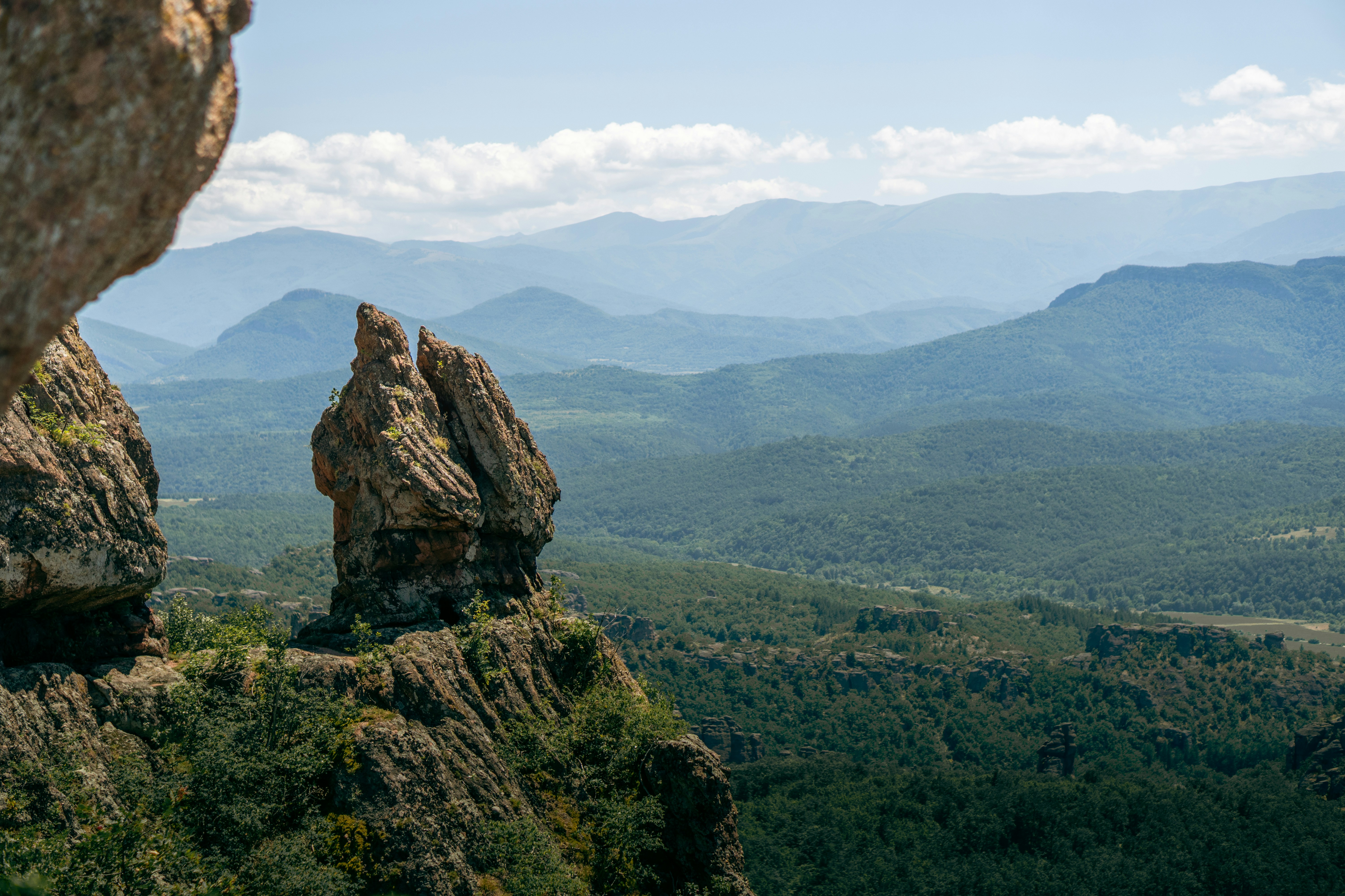 Photo by kristiqnspasov19