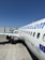A white commercial airplane is parked on the tarmac at an airport. The fuselage features a website URL and flag graphics near the tail. The airplane is positioned parallel to the terminal building, showing its wing and landing gear. The sky is clear and blue, providing a bright and sunny atmosphere.