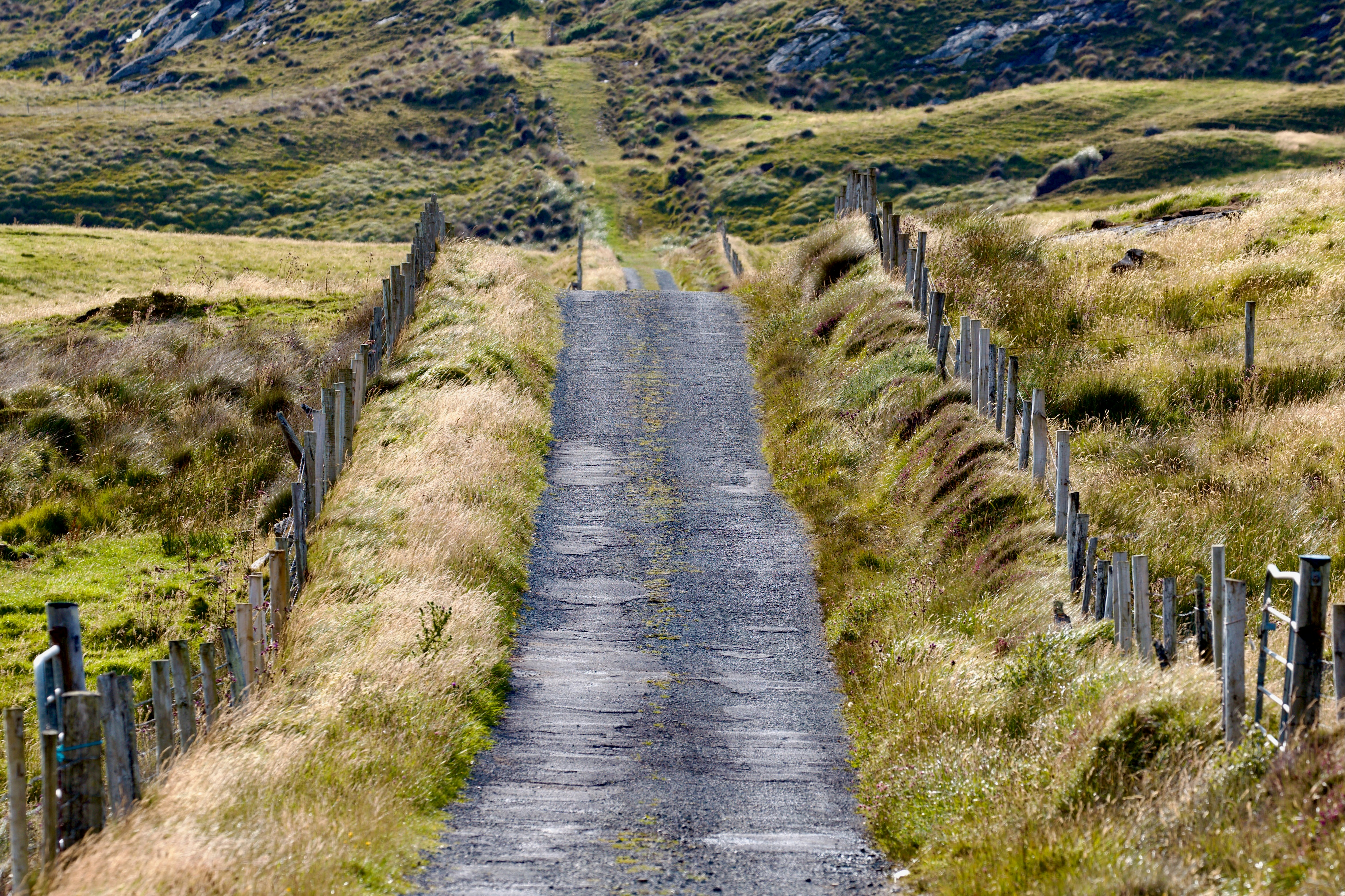 an empty road in the middle of a grassy field, 