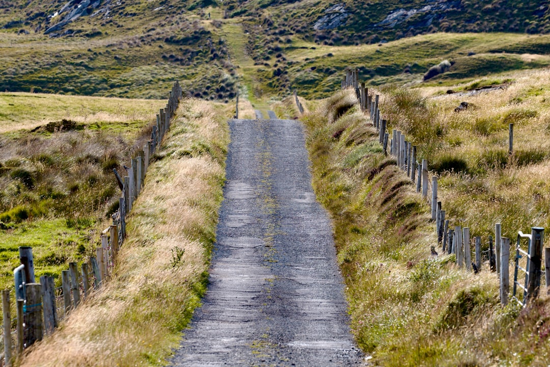 an empty road in the middle of a grassy field,