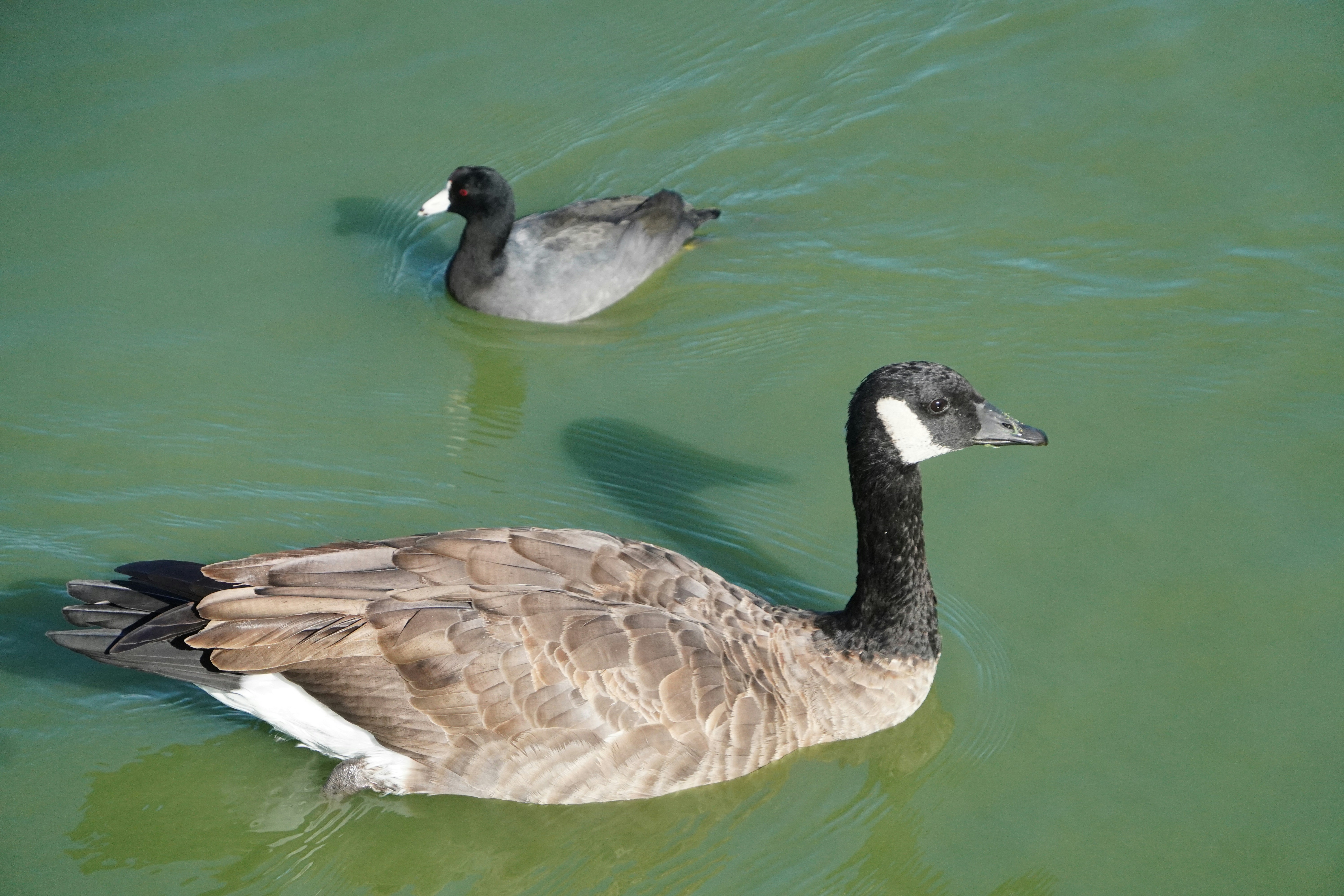 Photo by justin129ho