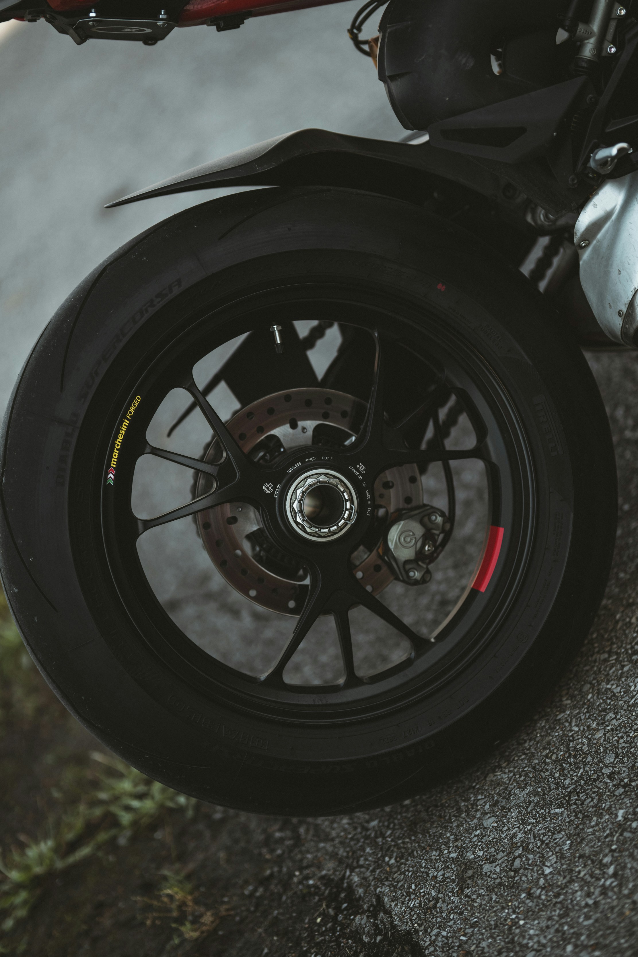 Photo by colemangloverphotography