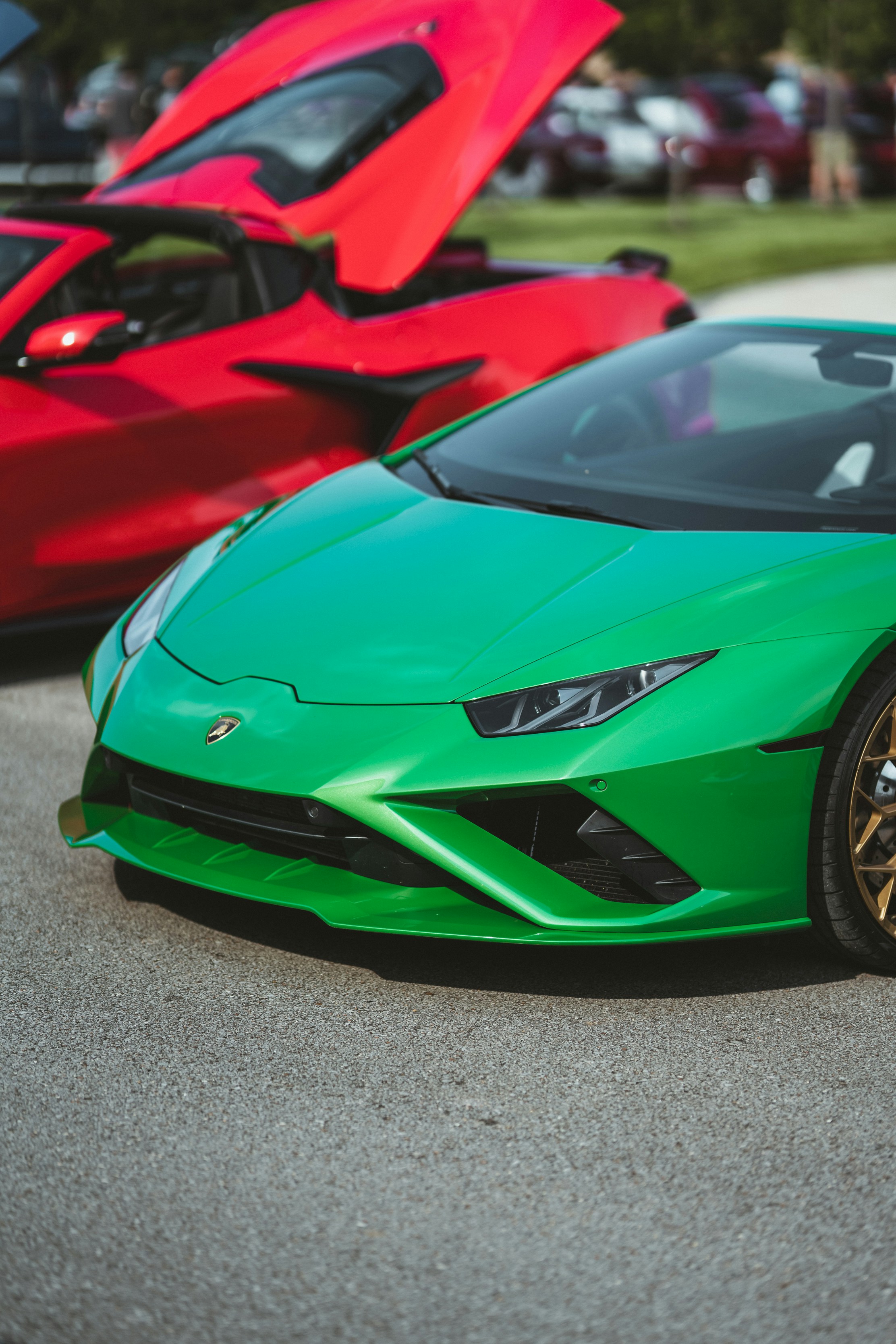 Photo by colemangloverphotography