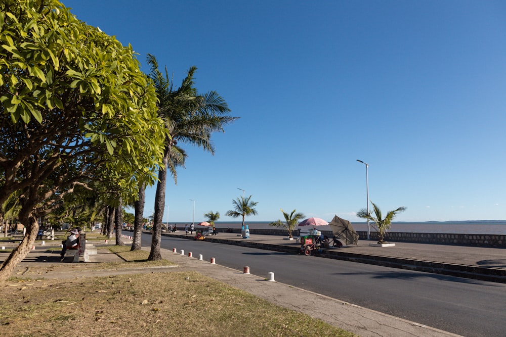 a motorcycle driving down a street next to palm trees