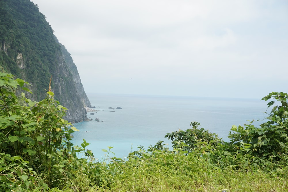 a large body of water surrounded by lush green vegetation