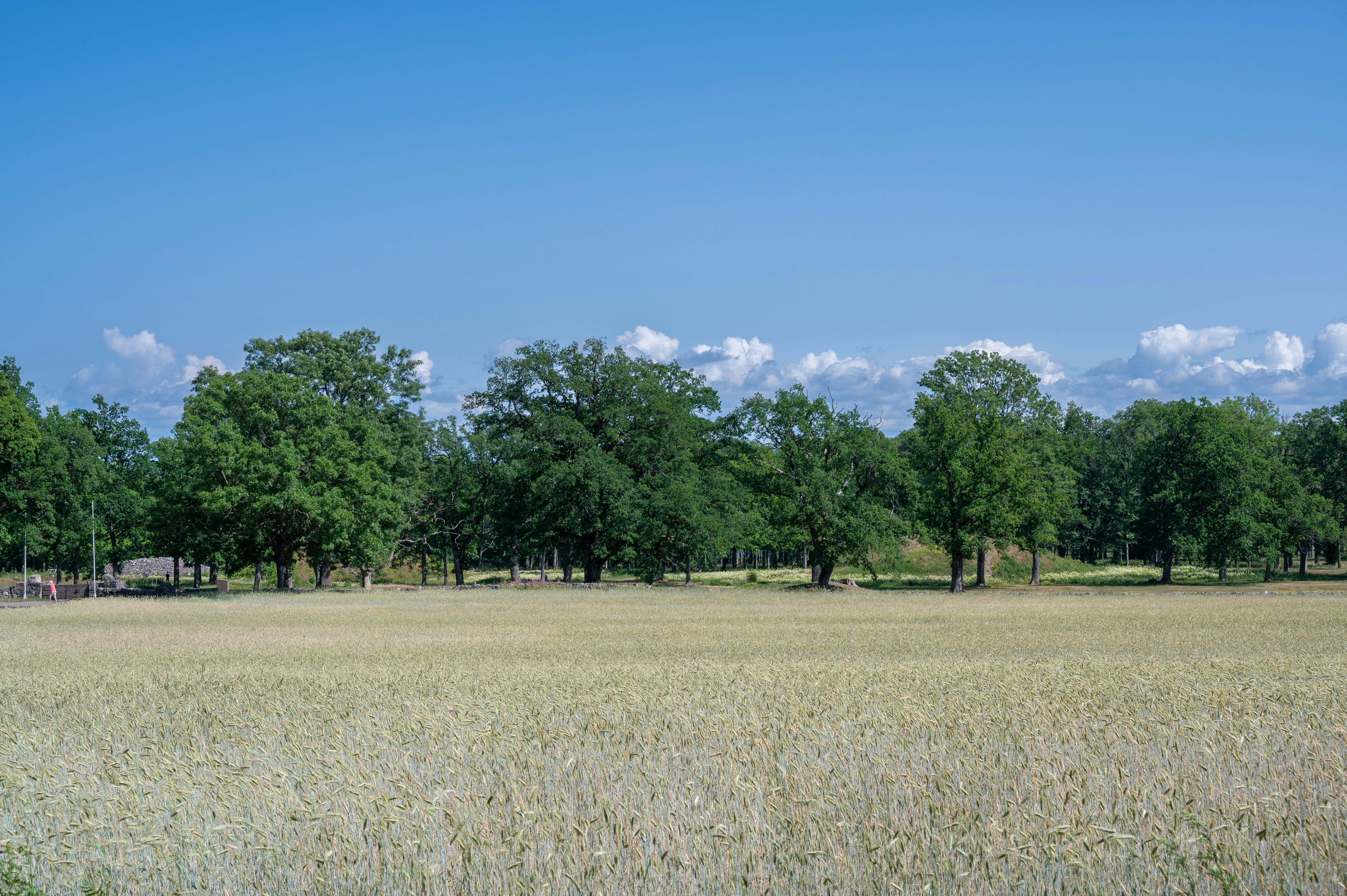 Photo by gunnarridder