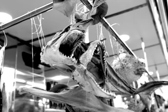 Close-up of precision taxidermy tools laid out on a wooden workbench.
