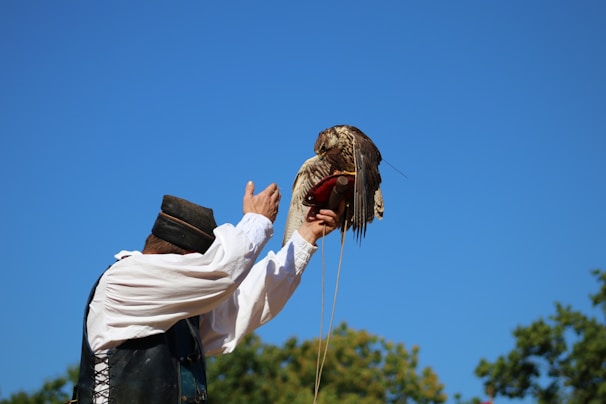 A Kazakh eagle hunter in traditional attire releasing his eagle against a clear blue sky in the Altai Mountains.