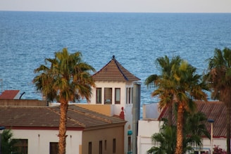 A coastal view with a calm blue sea in the background and palm trees surrounding a building with a tiled roof. The architecture is characterized by neutral colors and a Mediterranean style. The scene suggests a relaxing and serene atmosphere.