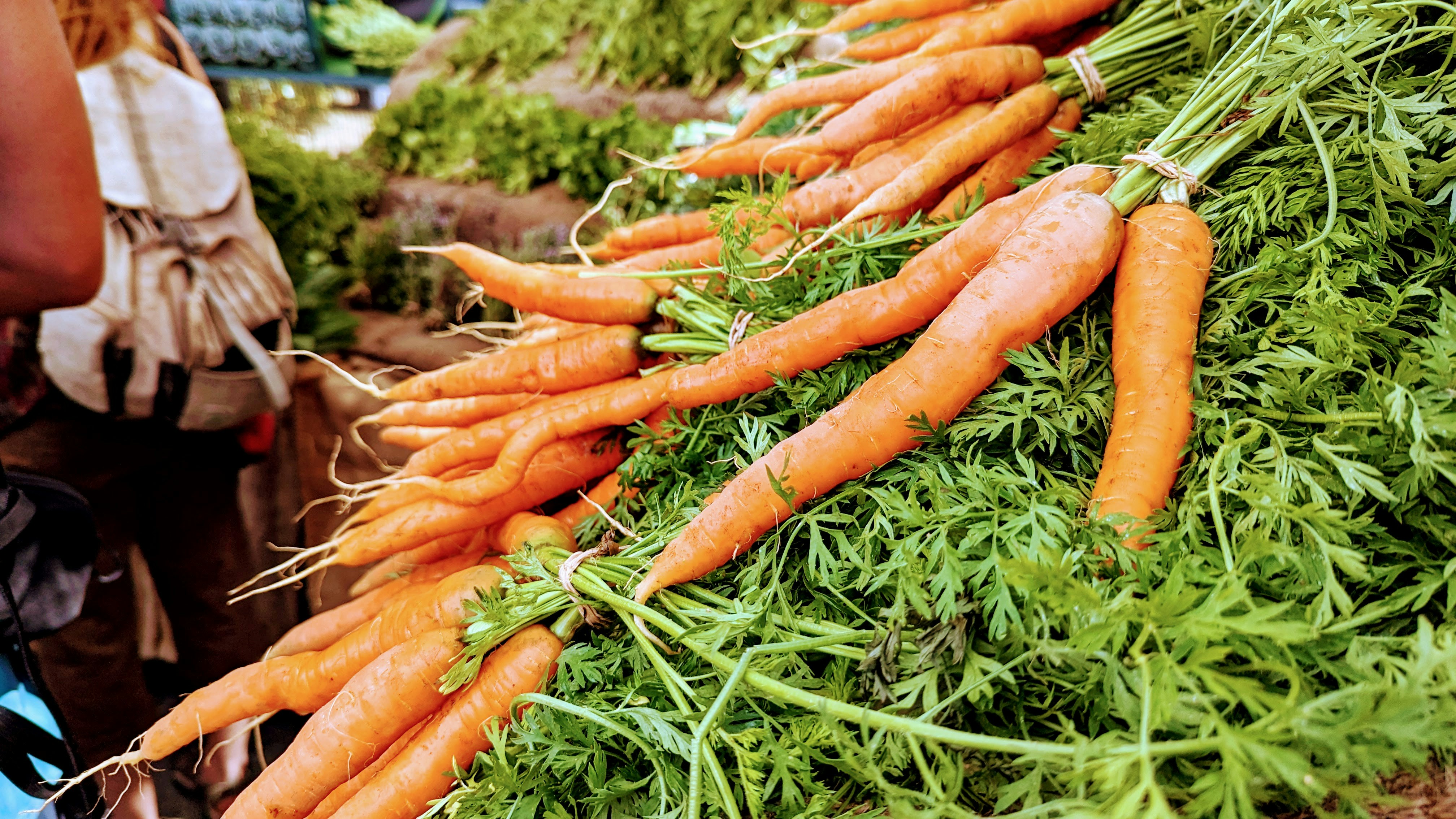 Orange carrots with green tops, fresh from Ooty hills, market produce