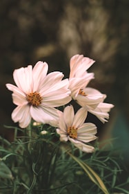 An elegant wedding detail captured in soft pink and beige hues, highlighting delicate textures.