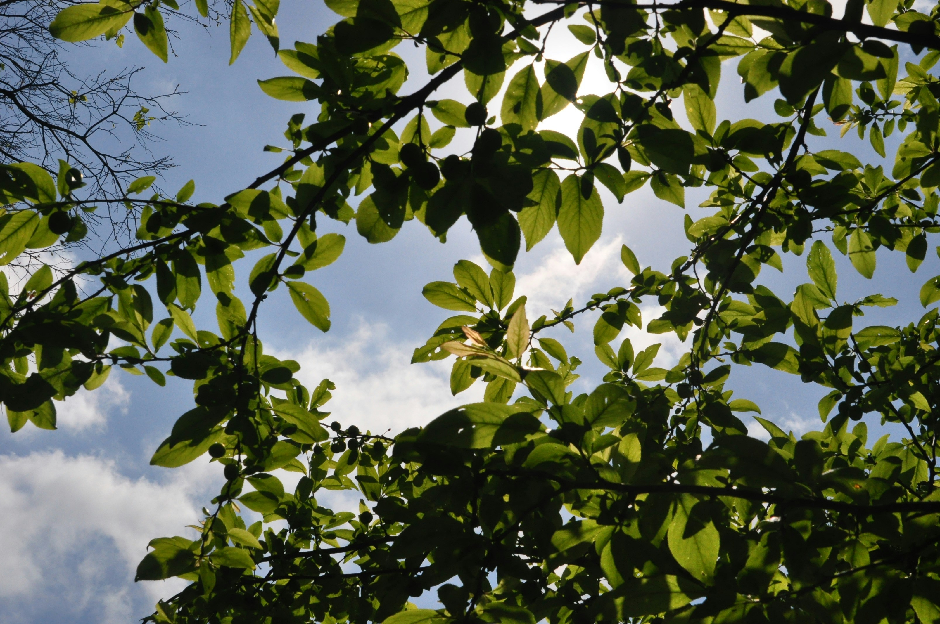 Photo by waleed_rbeshr