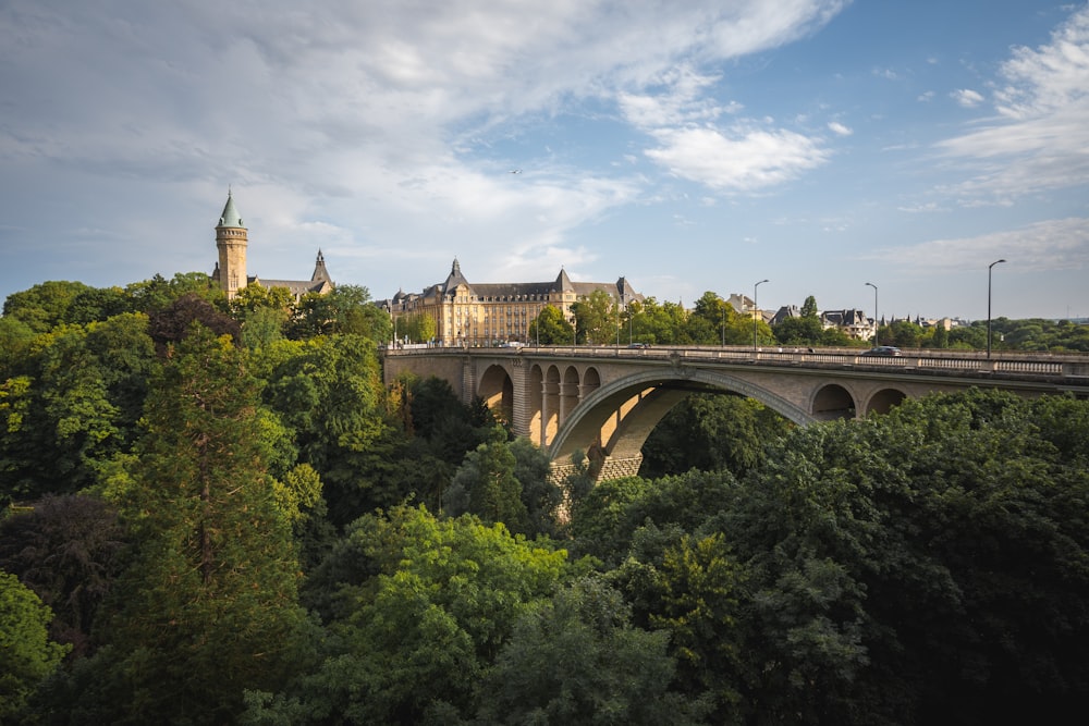 a bridge over a lush green forest under a blue sky