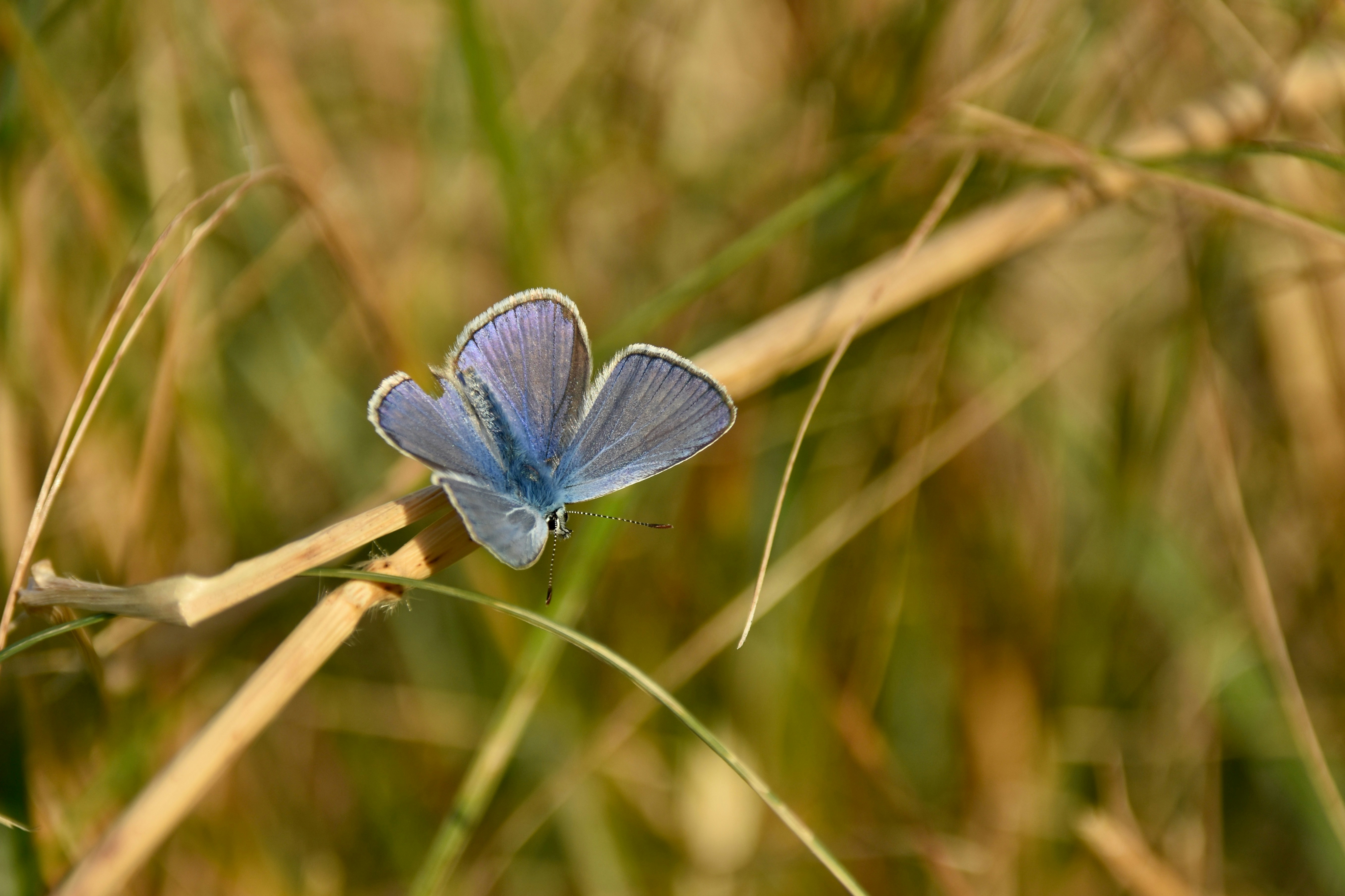 Photo by mariobeducci