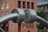 A large metallic structure with cylindrical components is prominently featured. The structure seems to be made of stainless steel, with two thick, curved rods meeting at a central circular joint. The background shows an urban setting with a brick building and blurred hints of greenery.