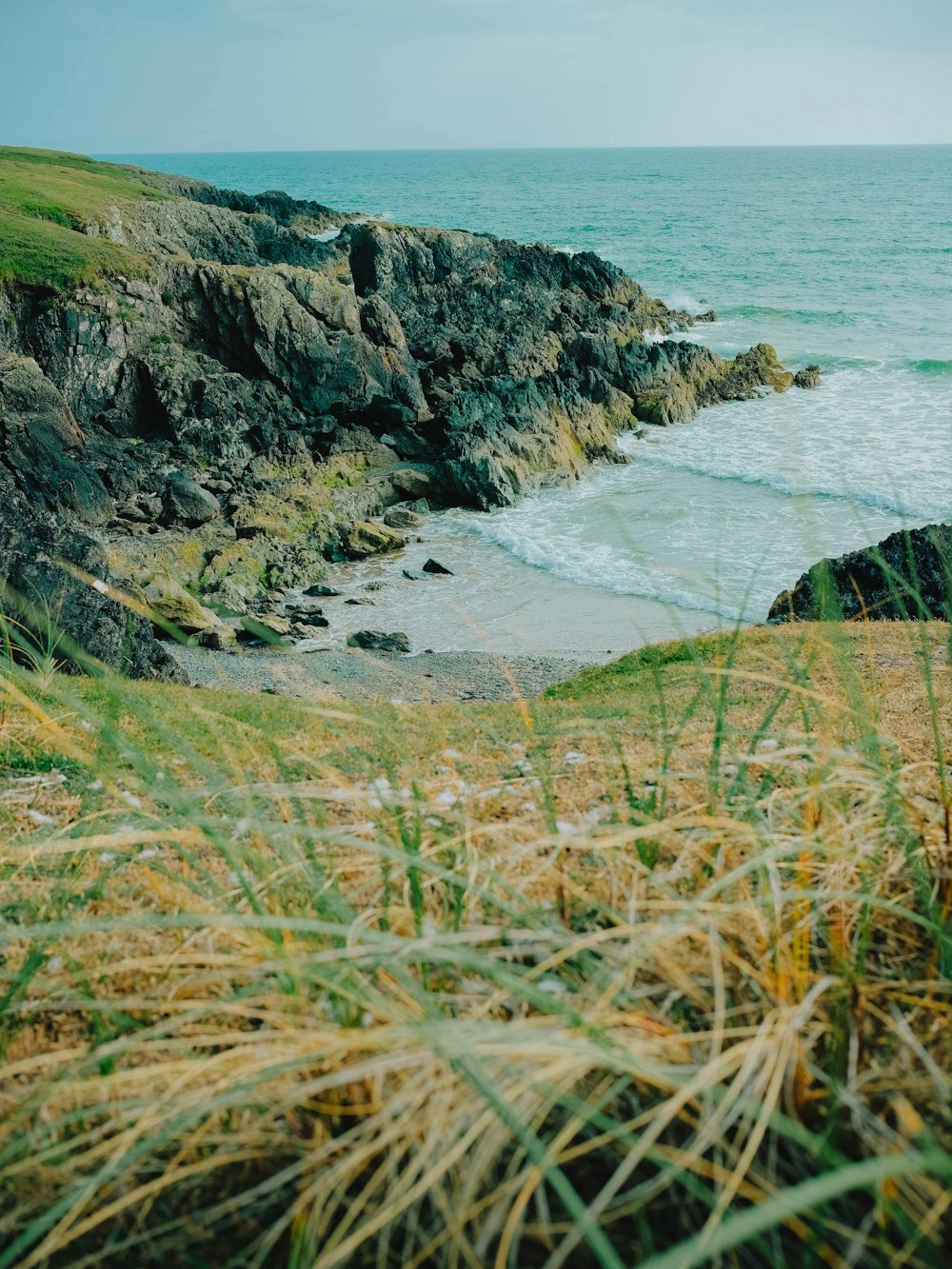 a grassy area next to a body of water