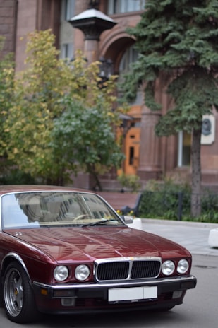 A classic maroon Jaguar car is parked on a city street. The background features a building with brown brick architecture and lush green trees, creating a peaceful urban setting.