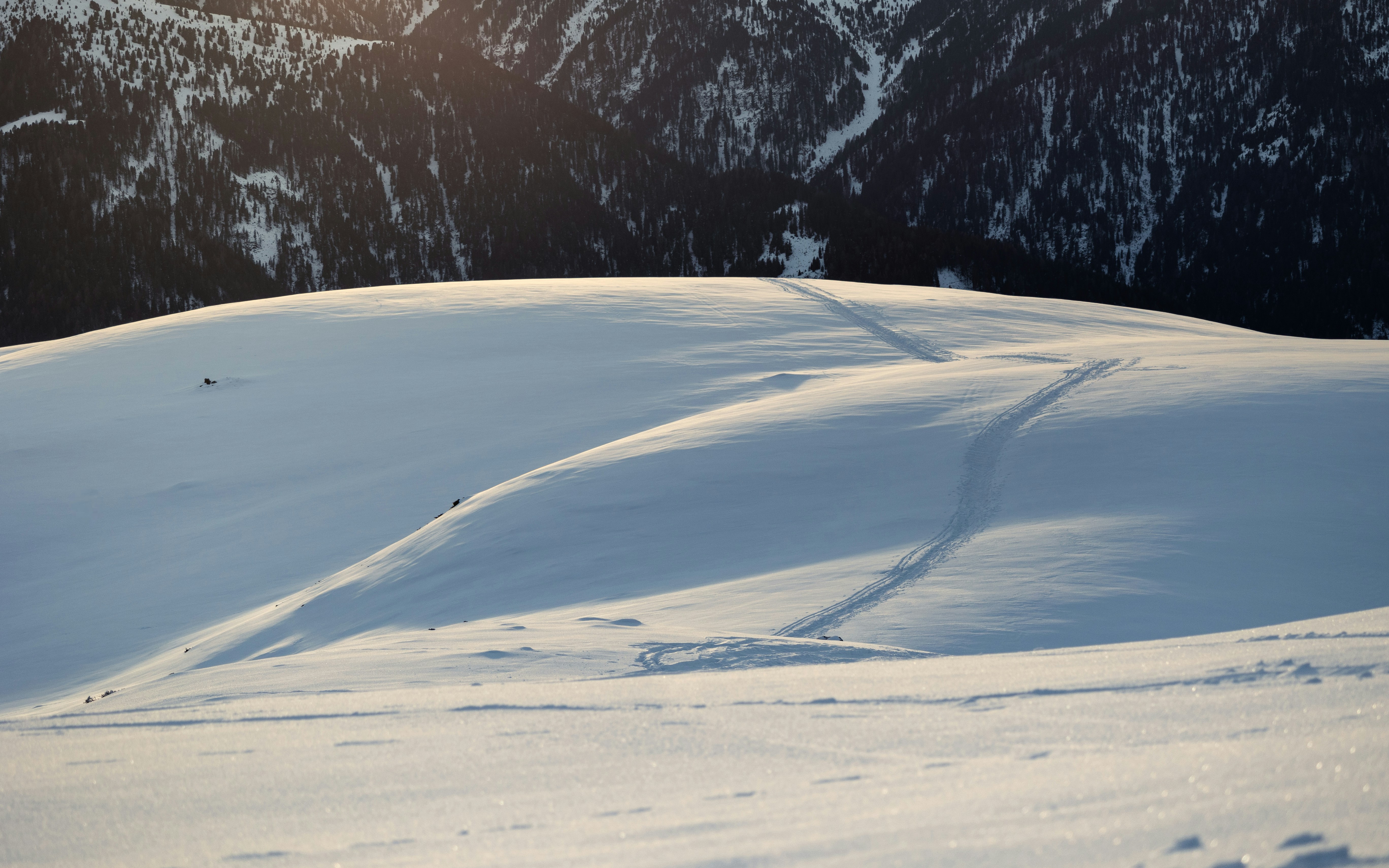 Photo by marekpiwnicki