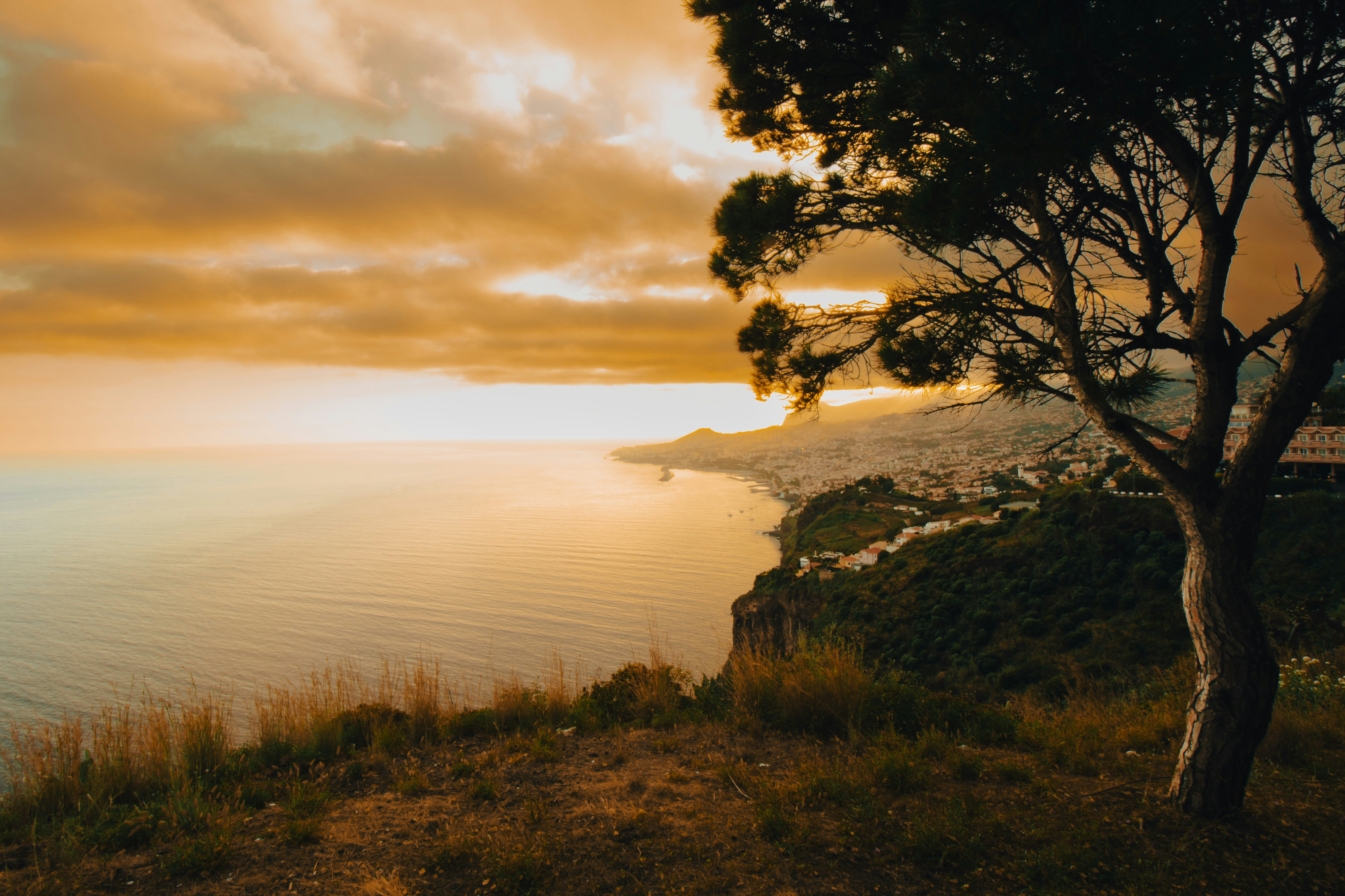 Photo by pedro_tranquada27