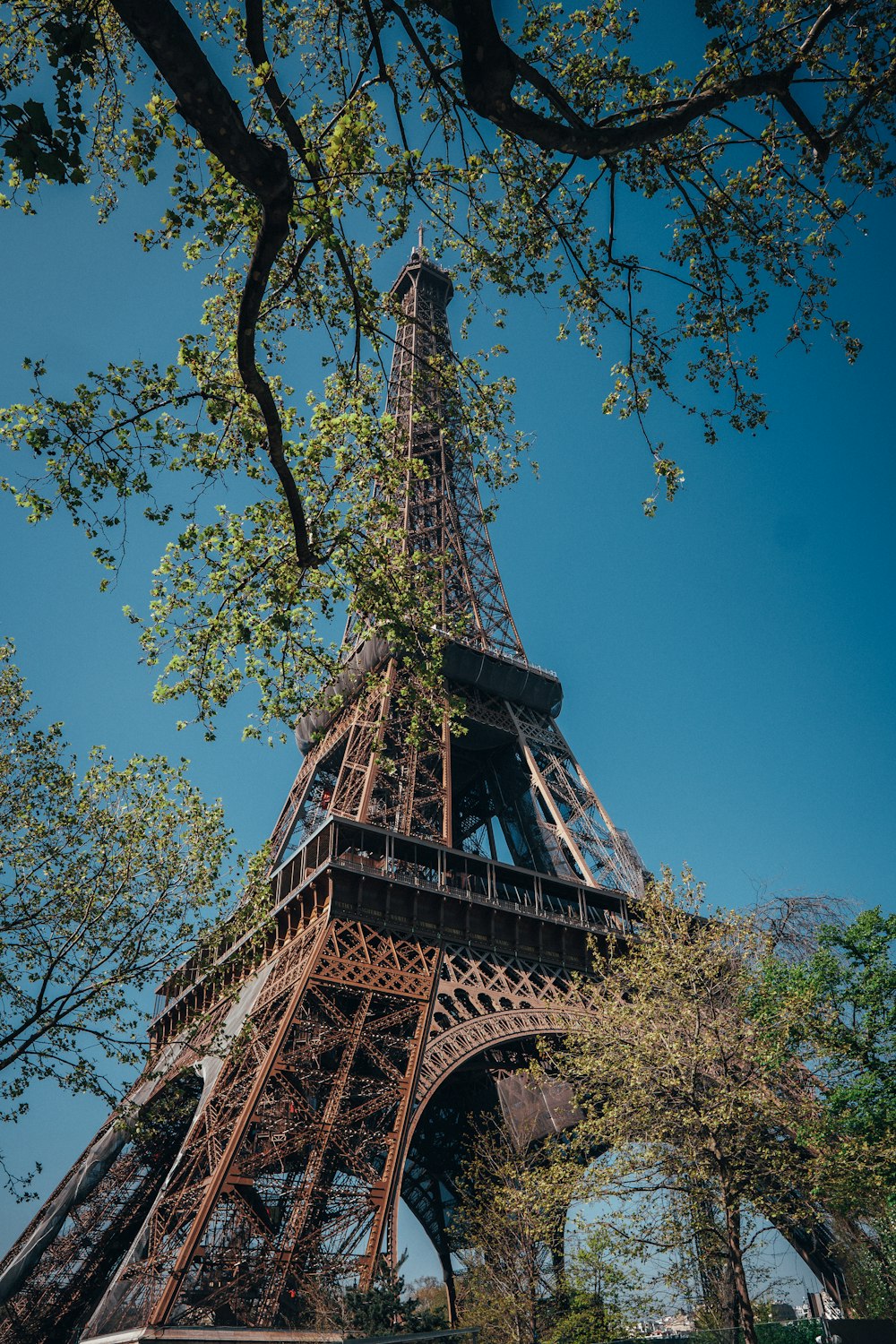 the eiffel tower is surrounded by trees