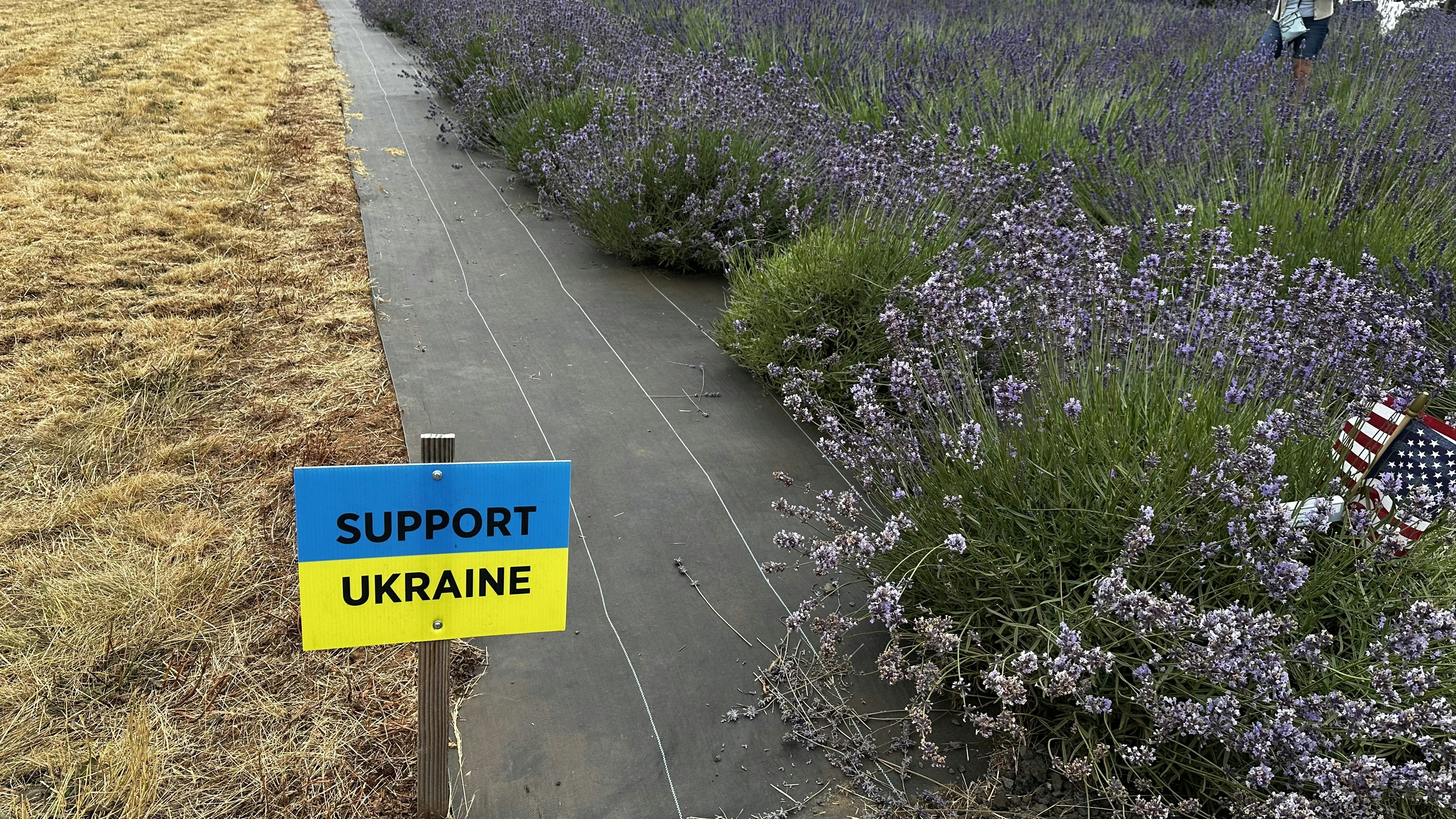 Ukraine’s Strategic Standoff: Delayed Signature on Crucial Rare Earth Minerals Deal with the U.S.
