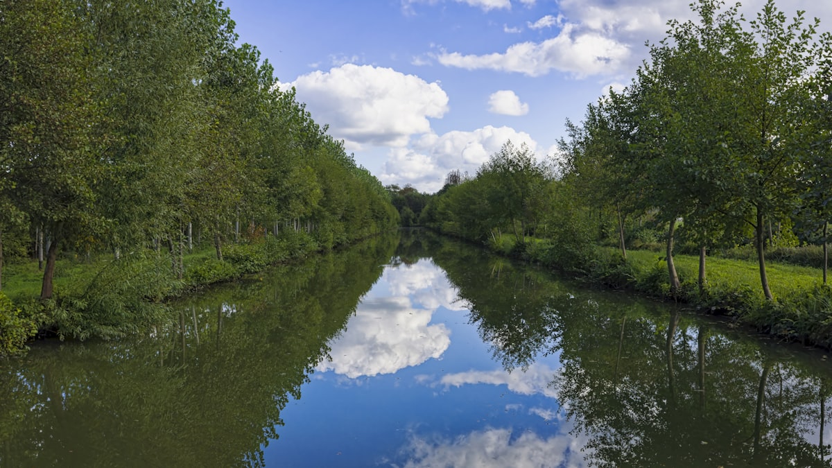 Rivière calme traversant une forêt verdoyante, bords ombragés propices à la pêche