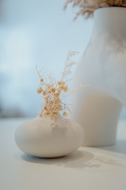 A minimalistic arrangement featuring a small, smooth, white vase with delicate dried flowers. The background is blurred, giving emphasis to the vase and its contents. The setting is calm and serene, with soft lighting accentuating the simple elegance of the objects.