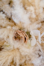 a flower that is laying on some feathers