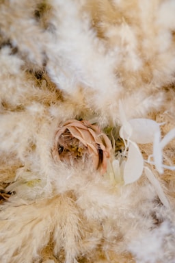 a flower that is laying on some feathers