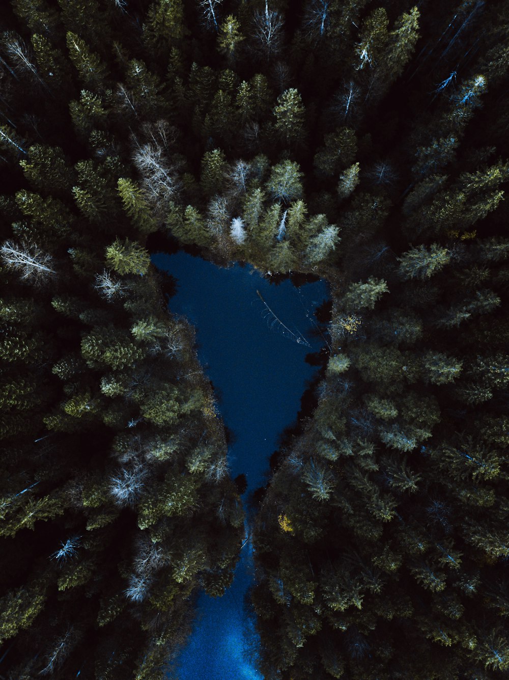 an aerial view of a lake surrounded by trees