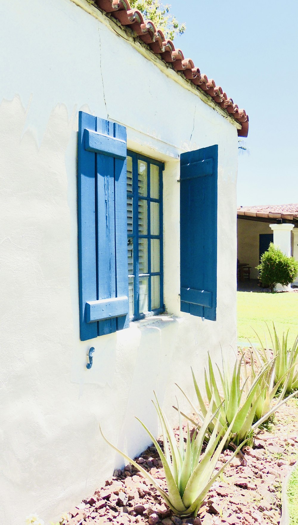 Una casa blanca con persianas azules y un cactus