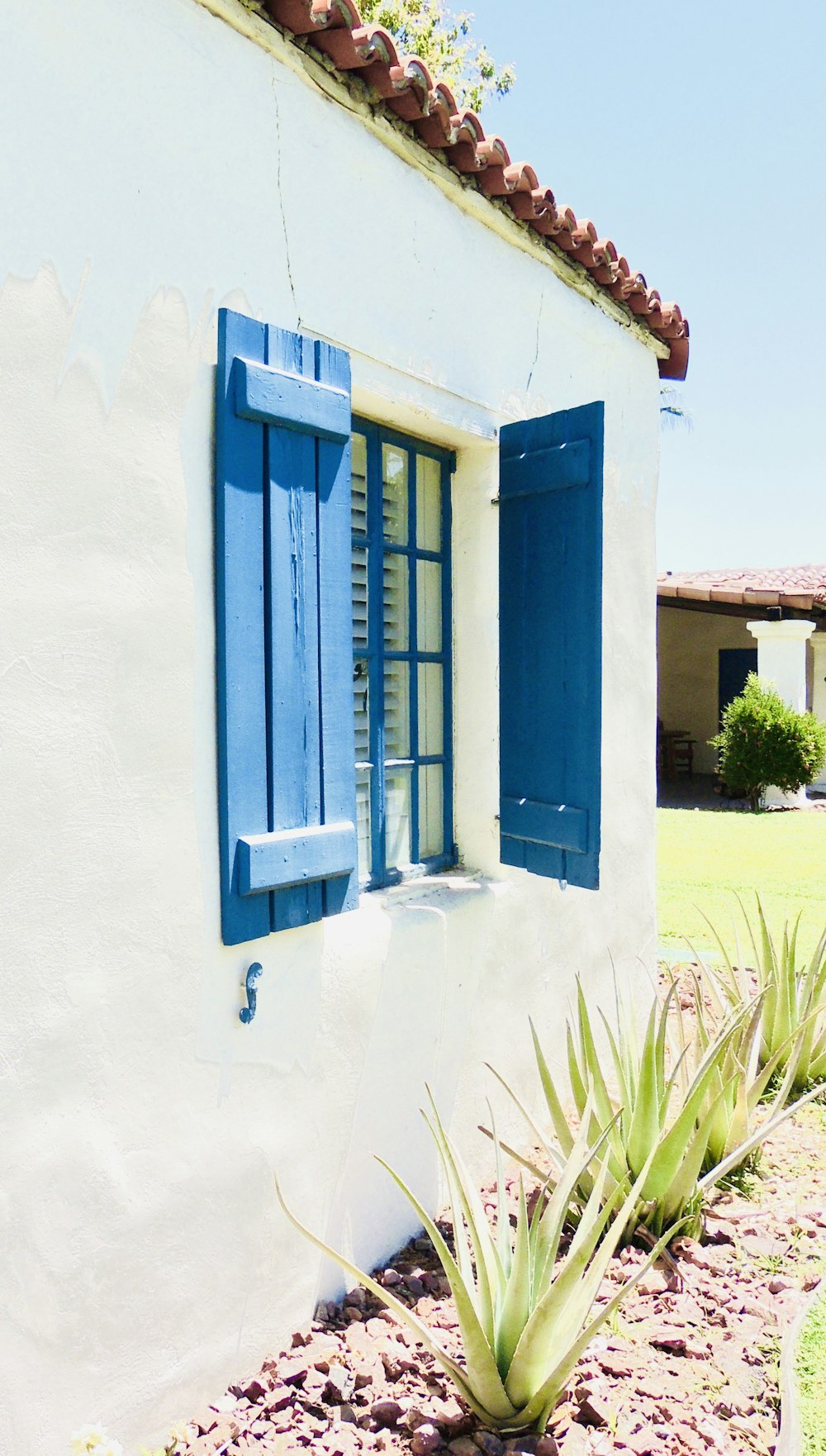 a white house with blue shutters and a cactus