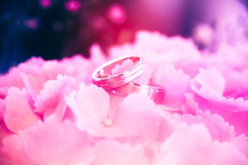 two wedding rings sitting on top of pink flowers