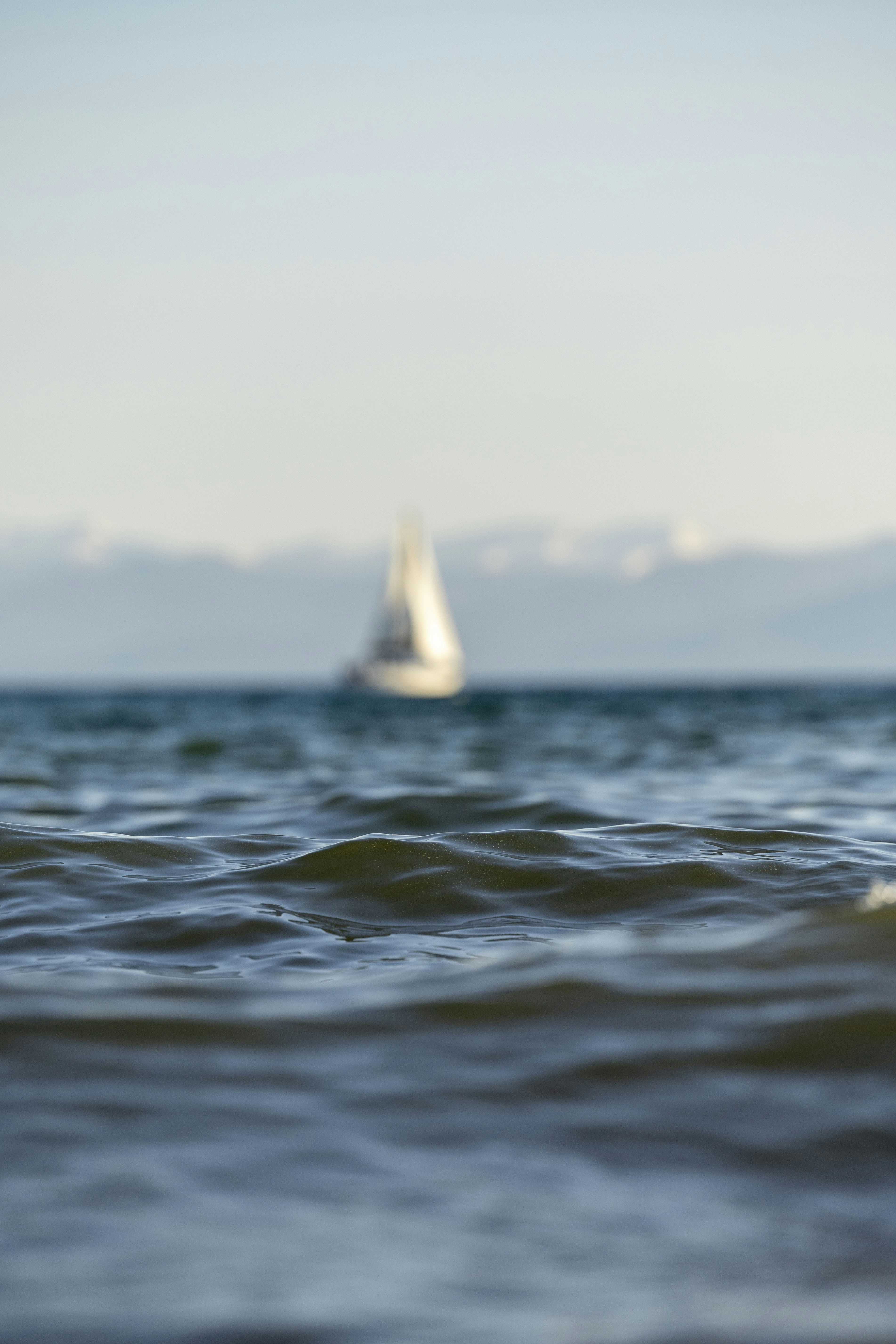 Photo by leo_visions_