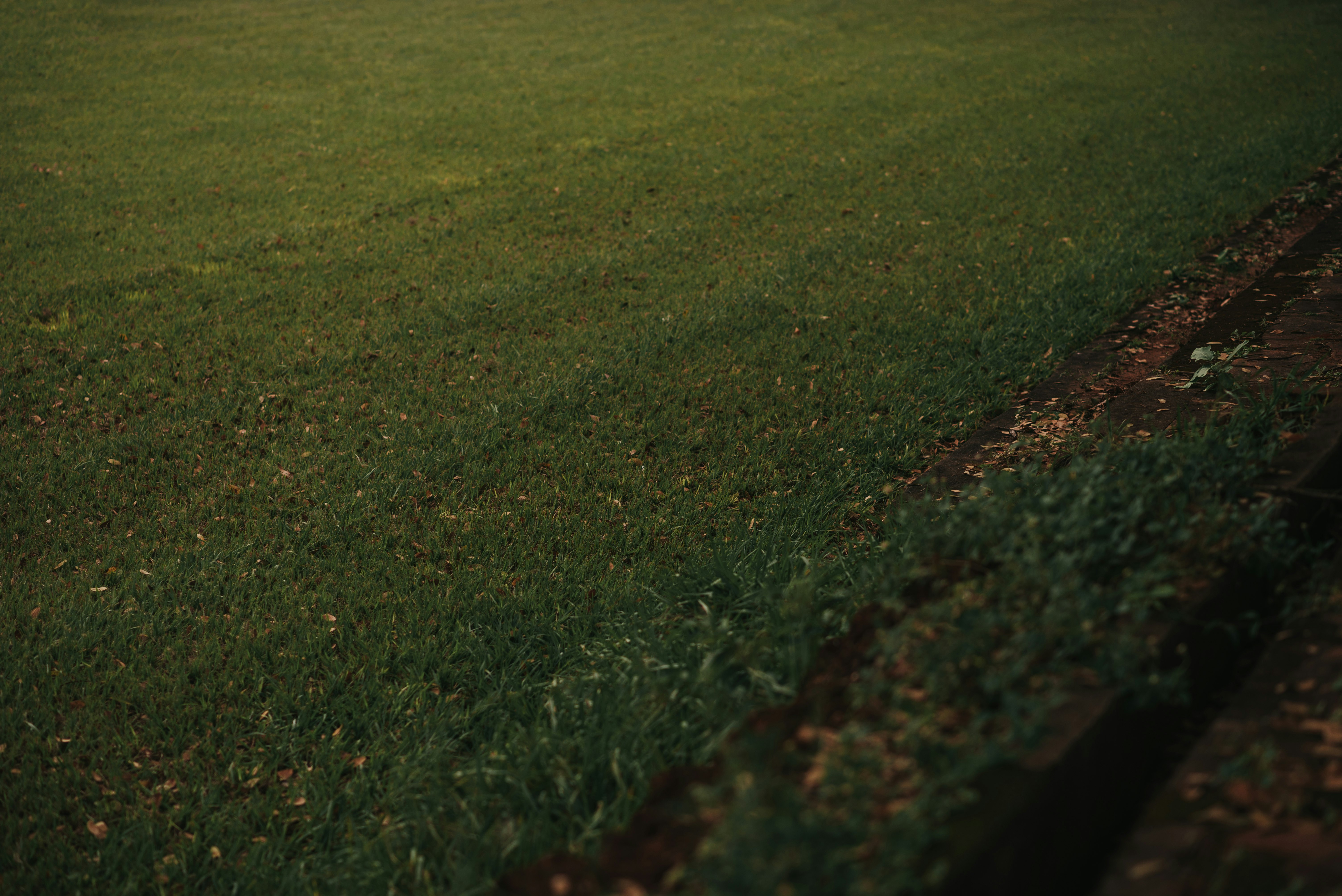 Lawn mowing